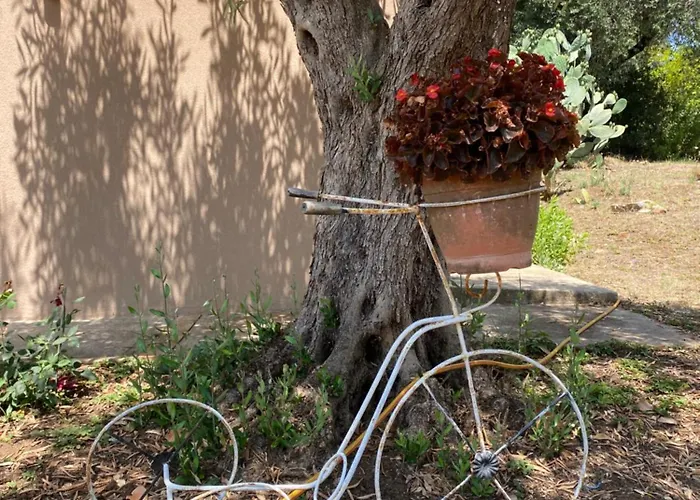 Villa Bluemind Dreams Brattiro