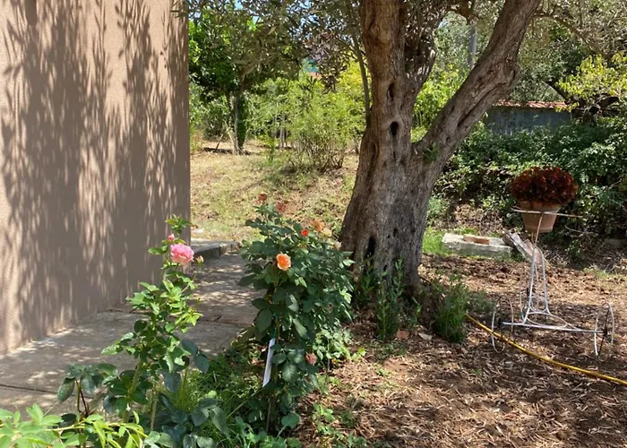 Bluemind Dreams * Brattiro