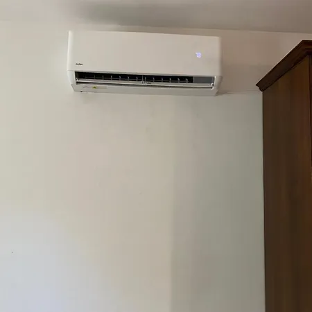 فيلة Bluemind Dreams