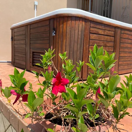 Bluemind Dreams Brattiro