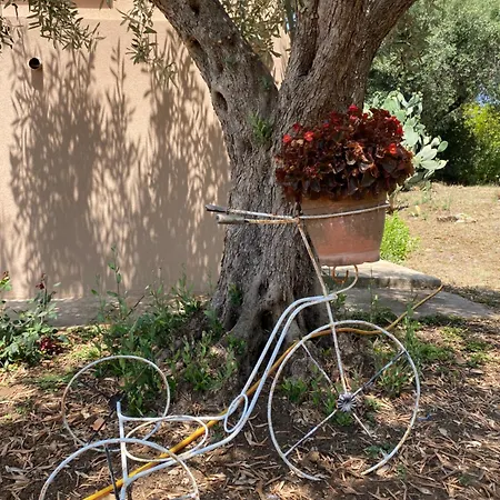 فيلة Bluemind Dreams Brattiro