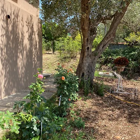 Bluemind Dreams * Brattiro