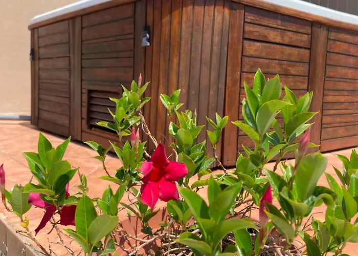 Bluemind Dreams Brattiro